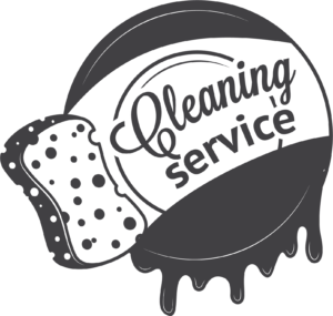 professional cleaning service